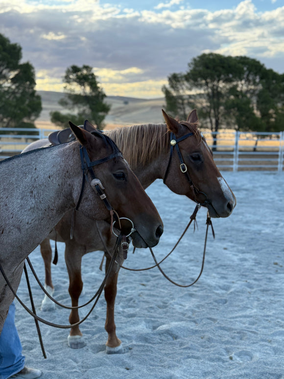 Bridles