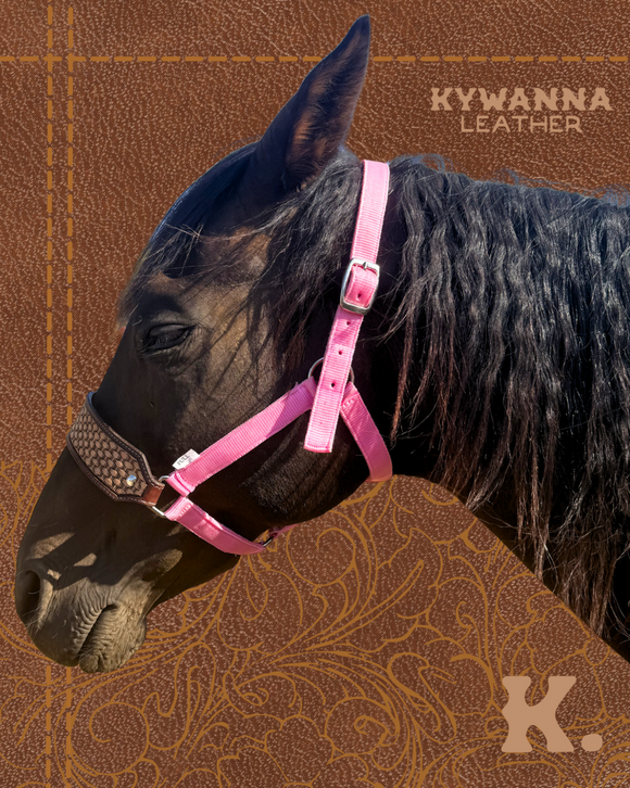 Kywanna Halters